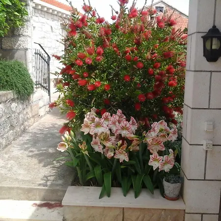 Lozica *